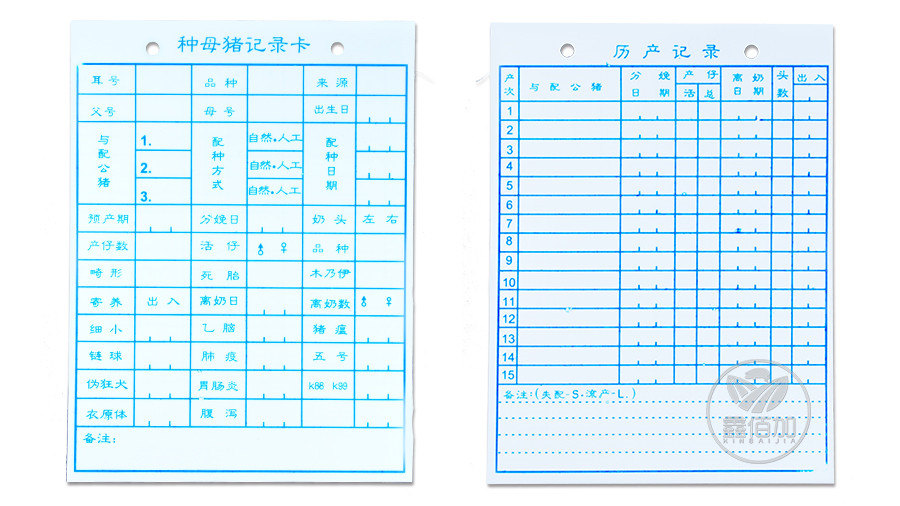 626969免费资料